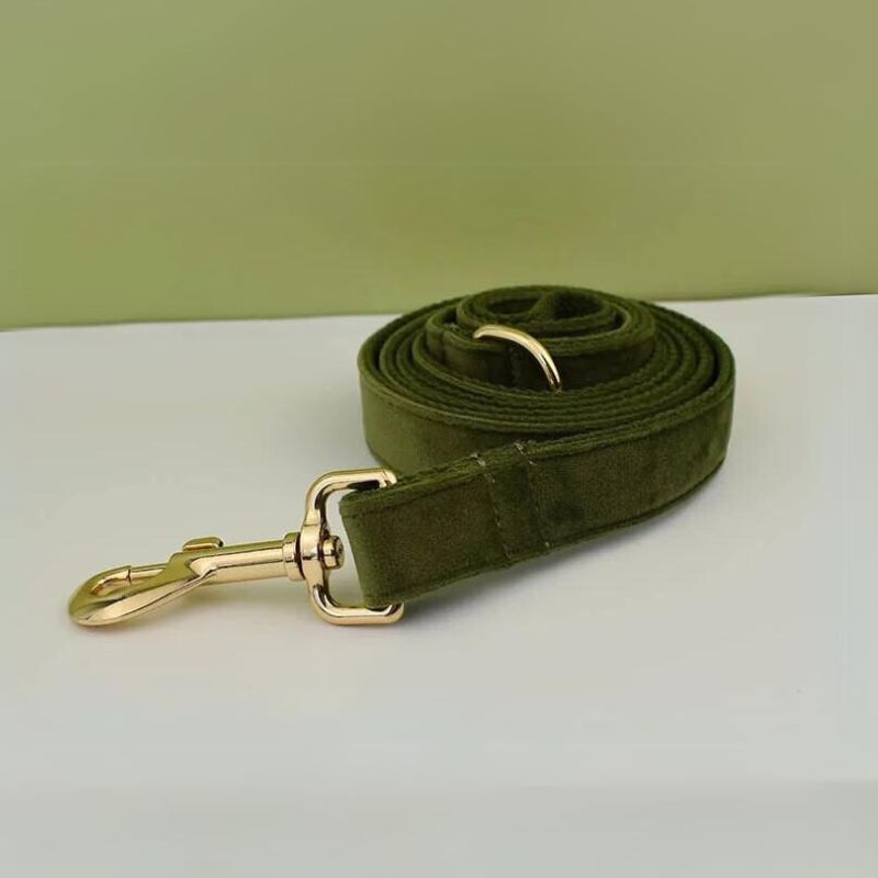 Laisse pour Chien kaki