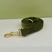 Laisse pour Chien kaki