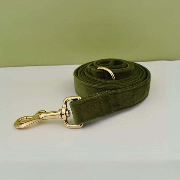 Laisse pour Chien kaki