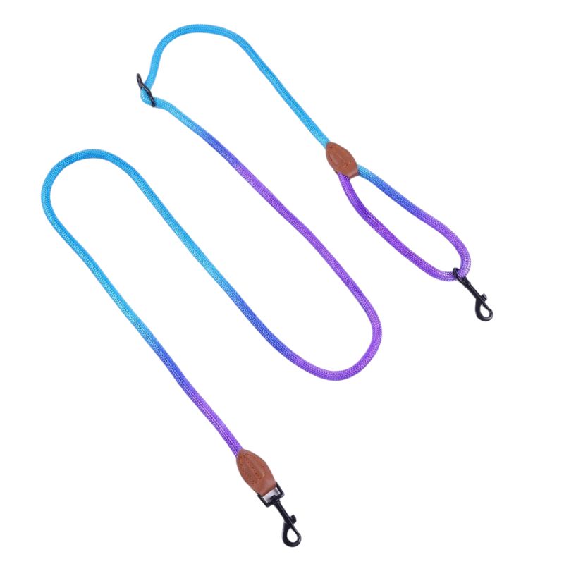 Laisse pour Chien Bleu