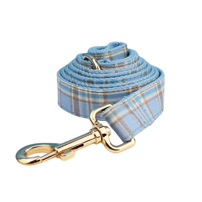 Laisse pour Chien Bleu