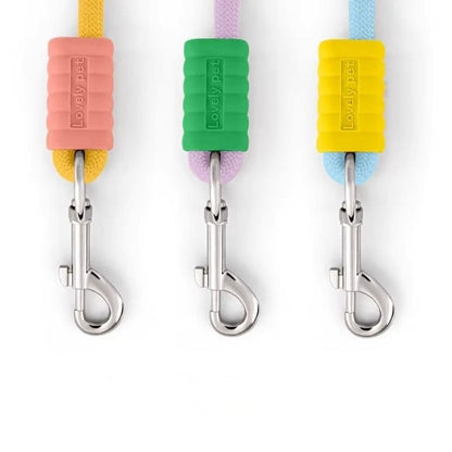 Laisse pour Chien Coloré