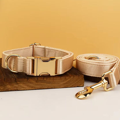 Laisse pour Chien Or