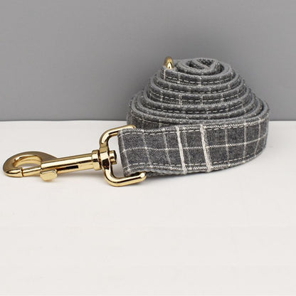 Laisse pour Chien Grise