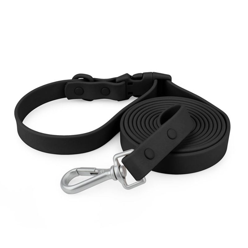 Laisse pour Chien Noir