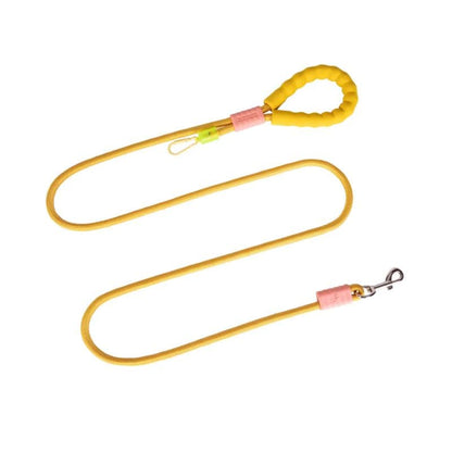 Laisse pour Chien Nylon