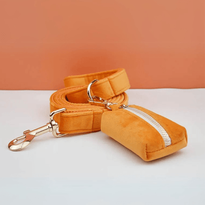 Laisse pour Chien Orange