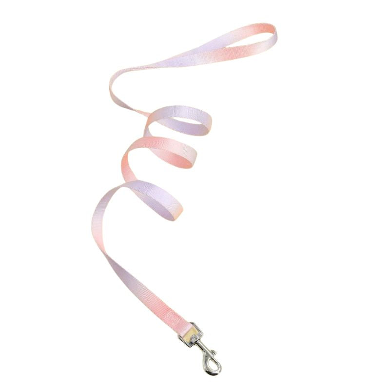 Laisse pour Chien Colorée