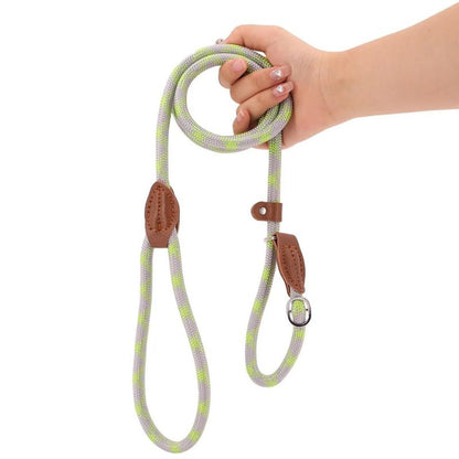Laisse pour Chien Vert