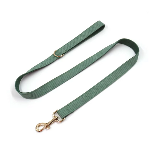 Laisse pour Chien Vert