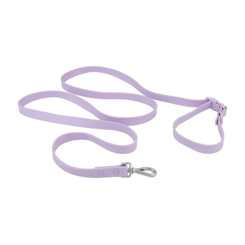 Laisse pour Chien Violet