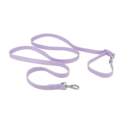 Laisse pour Chien Violet