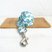 Laisse pour Chien