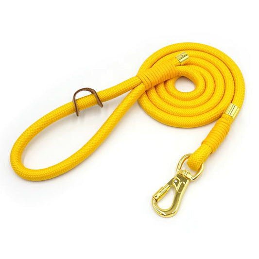 Laisse pour Chien