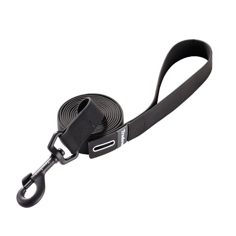 Laisse pour Chien