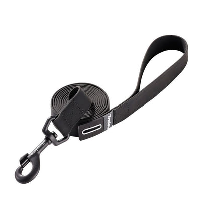 Laisse pour Chien
