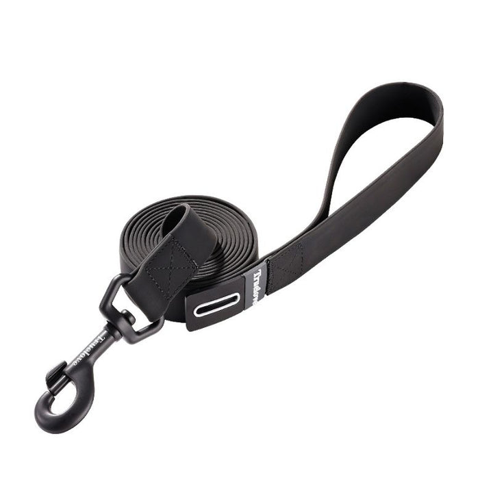 Laisse pour Chien