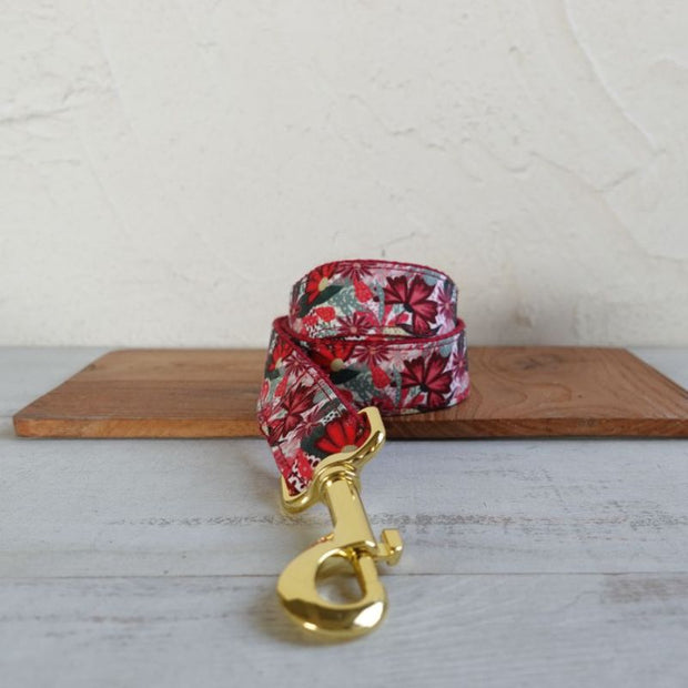Laisse pour Chien