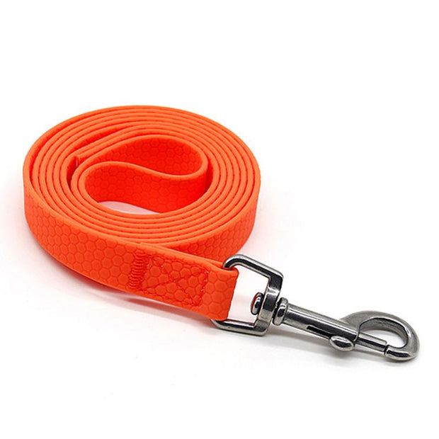 Laisse pour Chien