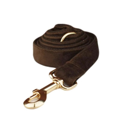 Laisse pour Chien Marron