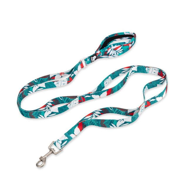 Laisse pour Chien