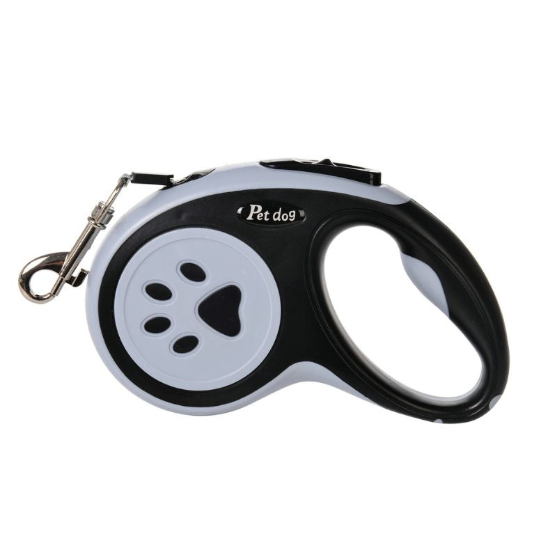 Laisse pour Chien