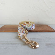 Laisse pour Chien