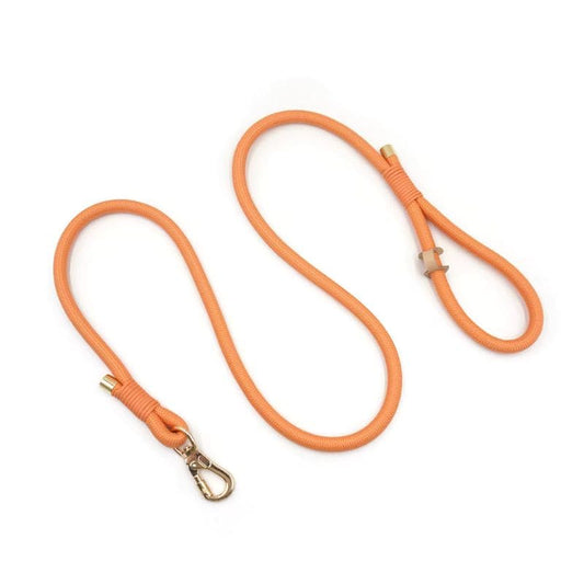 Laisse pour Chien