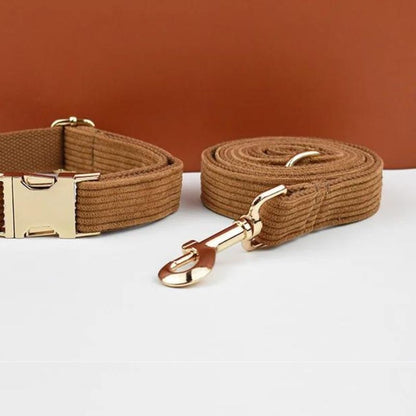 Laisse pour Chien Marron