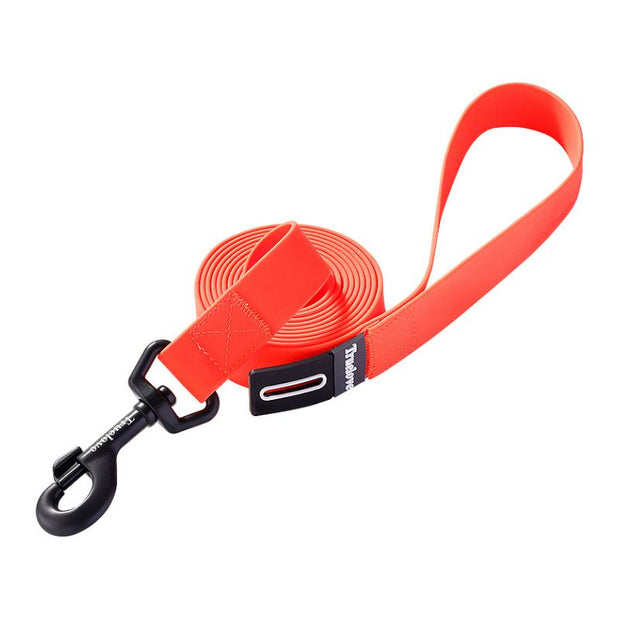 Laisse pour Chien Orange