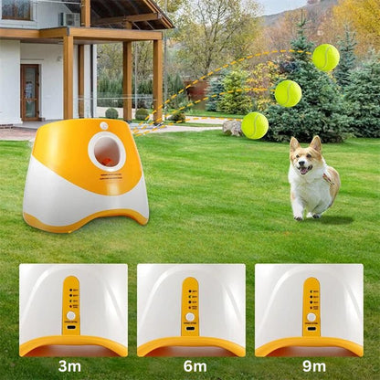 Lanceur de Balle pour Chien