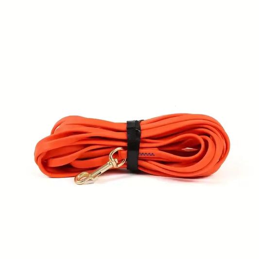 Longe pour Chien Orange
