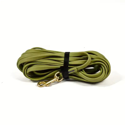 Longe pour Chien Vert