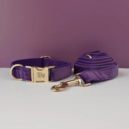 Longe pour Chien Violet