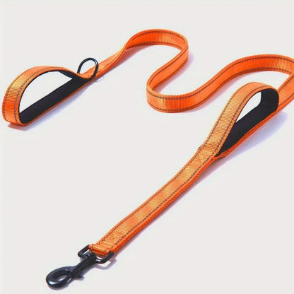Longe pour Chien Orange