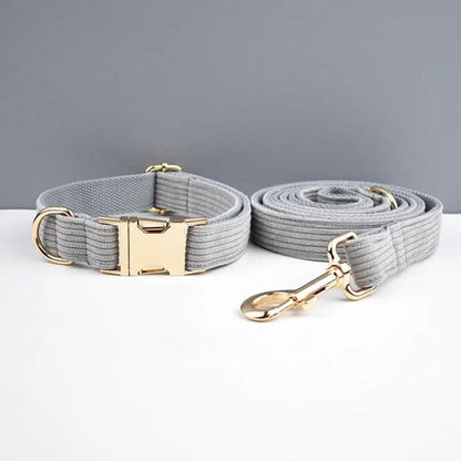 Longe pour Chien Grise