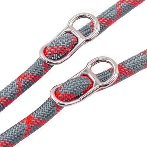 Longe pour Chien