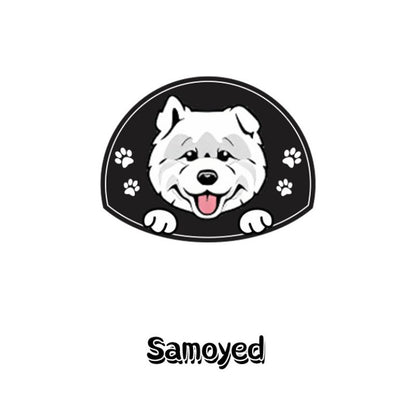Medaille Chien  Samoyed