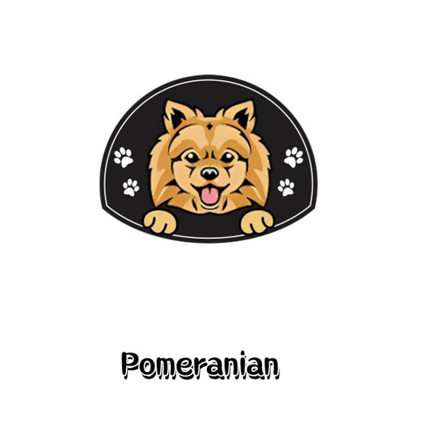 Medaille Chien  Pomeranian