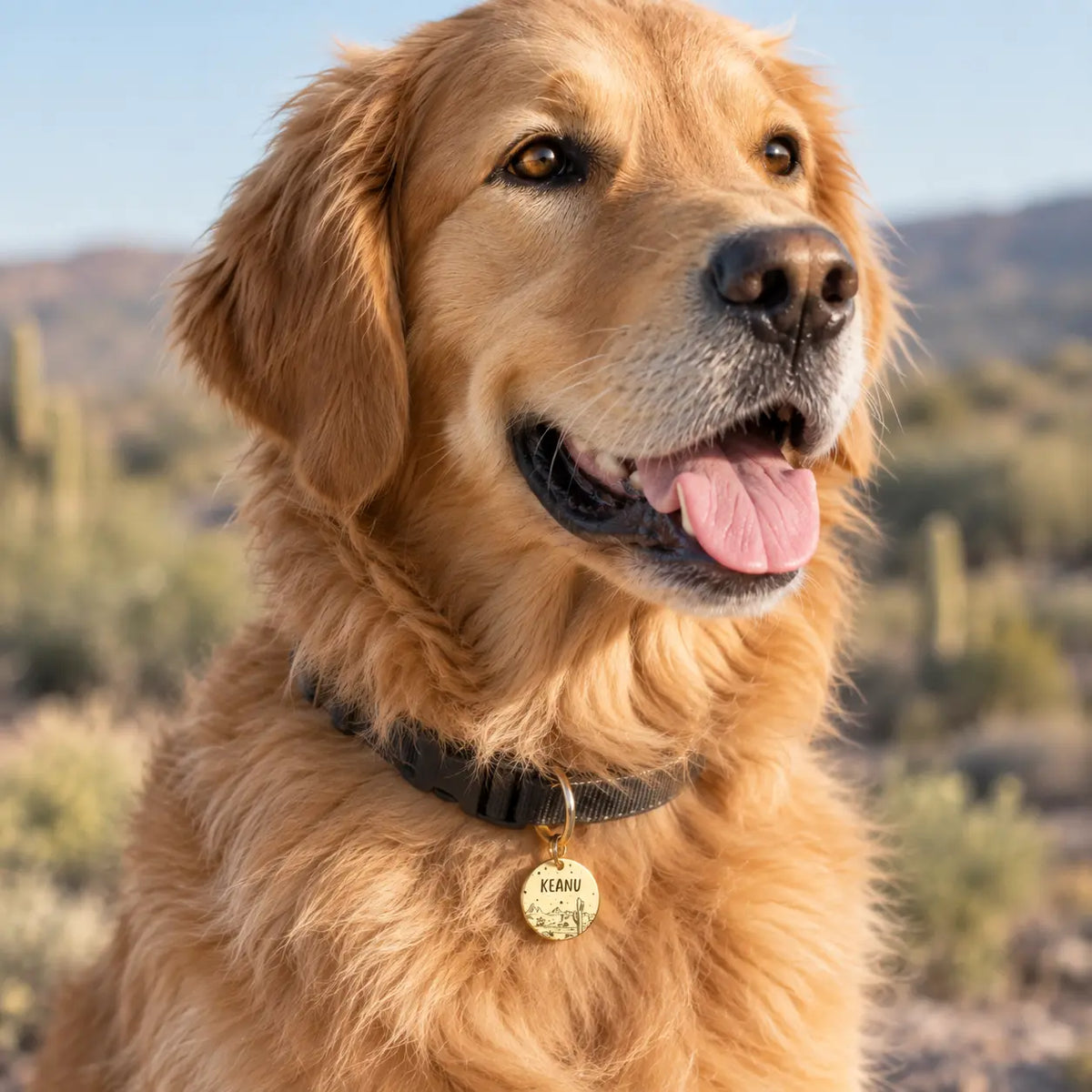 Medaille Chien Desert Doré