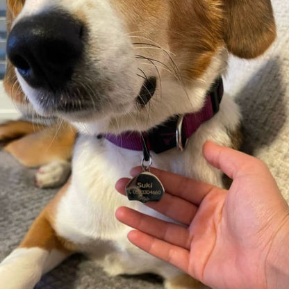 Medaille Chien Races