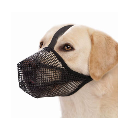 Museliere pour Chien 