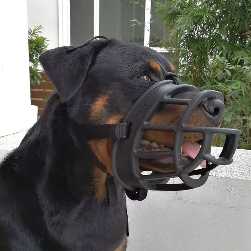 Museliere pour Chien Plastique