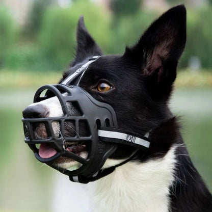 Museliere pour Chien Noire