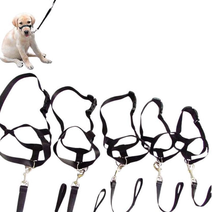 Museliere pour Chien Licol