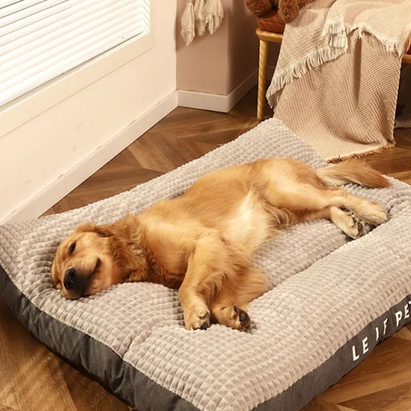 Panier Chien XXL
