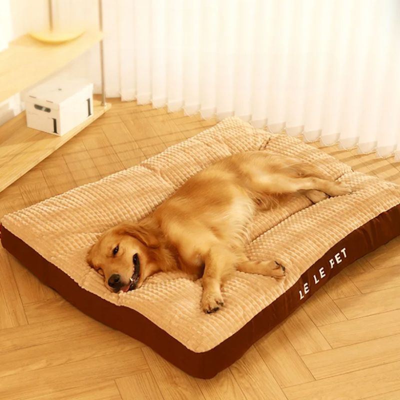 Panier Chien