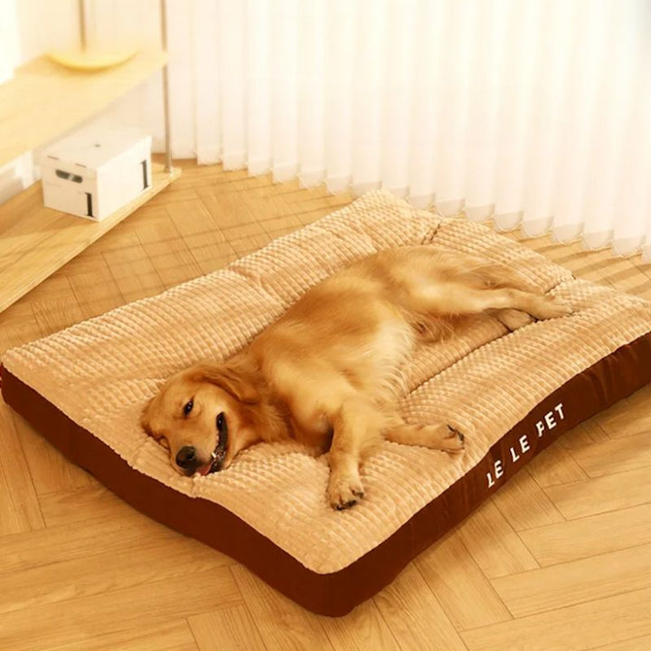 Panier Chien
