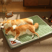 Panier Chien