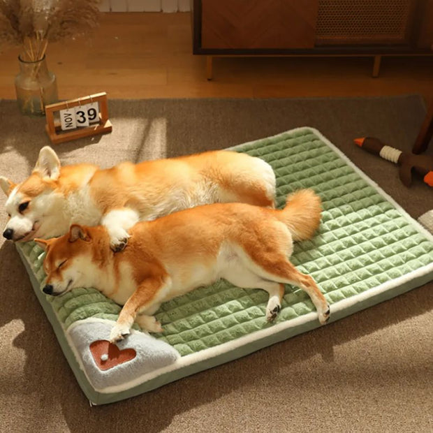 Panier Chien